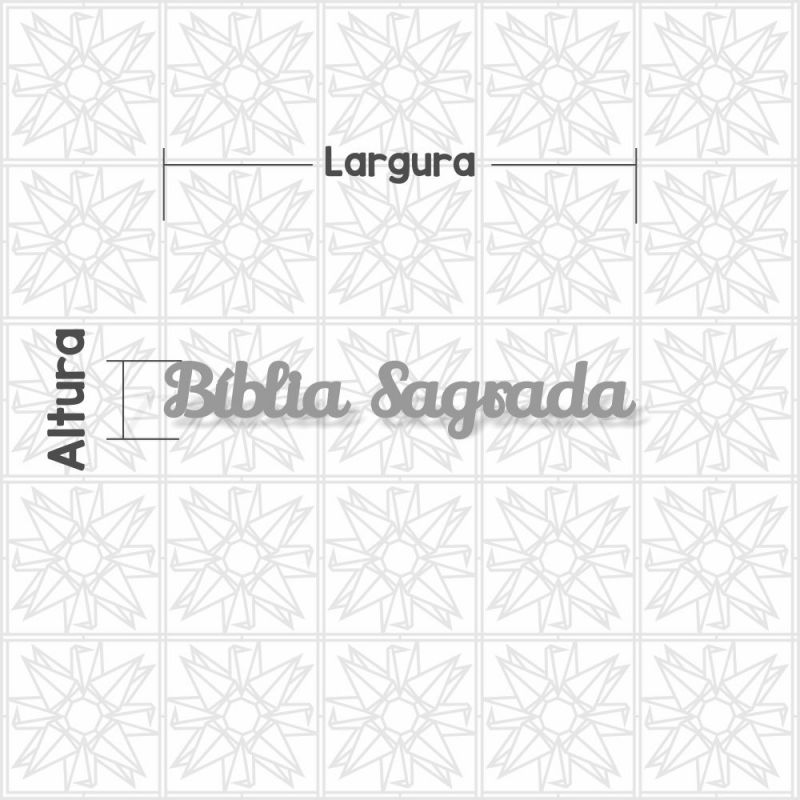 Bíblia Sagrada cursiva LLY